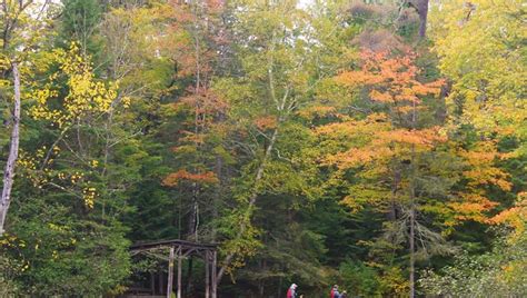 Wisconsin Fall Colors Begin In Northwoods Manitowoc Outdoors