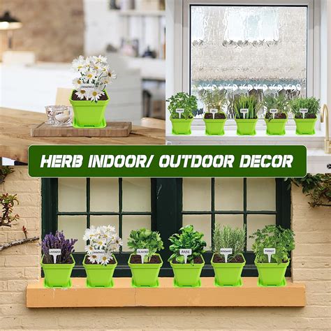 Buy Indoor Herb Grow Kit 10 Herb Seeds Garden Starter Kit With Green