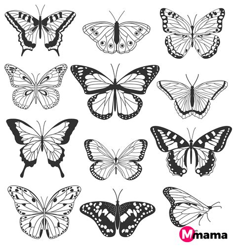 Motyle Kolorowanka Do Wydrukowania Images And Photos Finder
