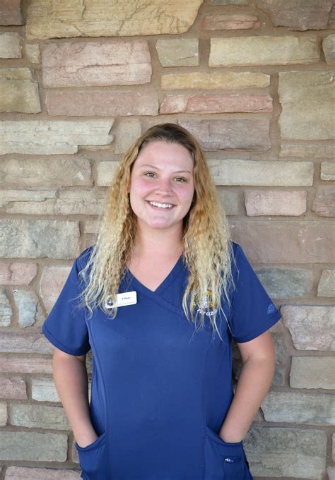 Sr 69 and windsong drive. Prescott Valley Pet Clinic - Veterinarian In Prescott ...