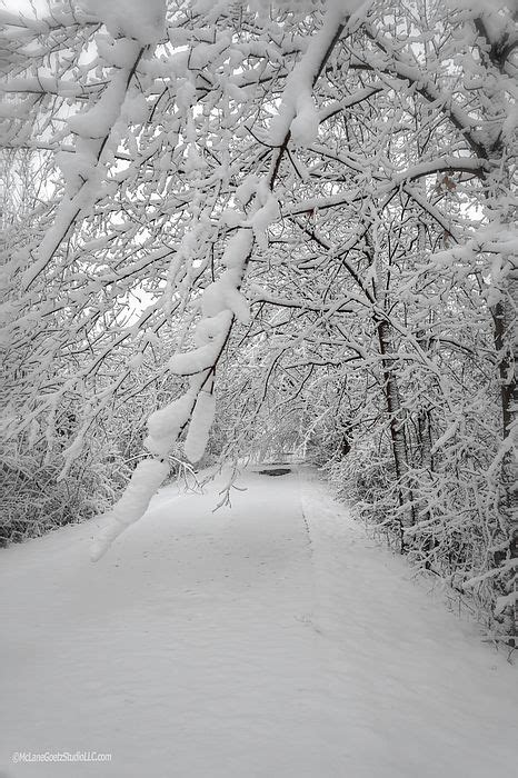 Snow On Macomb Orchard Trail By Leeann Mclanegoetz Mclanegoetzstudiollc