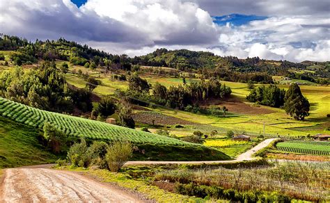 Actualidad La App Que Atrae A Los Turistas Al Campo Colombiano