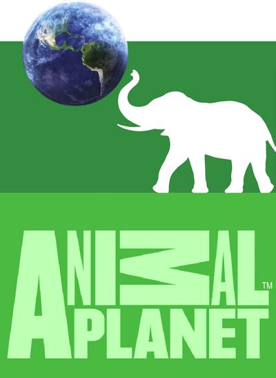Modernized Animal Planet Logo by TheRandomMeister on DeviantArt