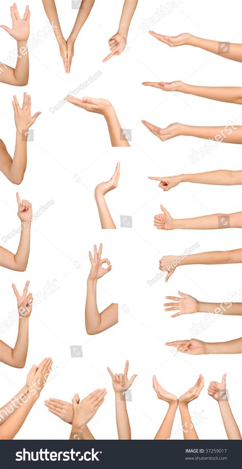 Collection High Resolution Female Hand Gestures Stock Photo Edit Now