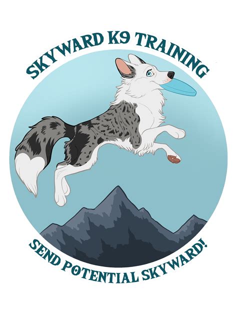 Skyward K9 Training Boise
