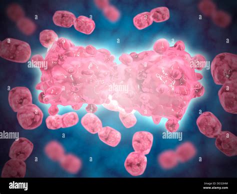Microscopic View Group Leukemia Cell Hi Res Stock Photography And