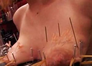 Needle Pain Bdsm Extreme Tit Torture Pussy Torture Tg Page