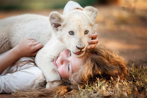 “ライオンの赤ちゃんと子どもたちが育ったら……？”3年を超える年月をかけて撮影した映画の裏側を監督が明かす！ screen online（スクリーンオンライン）