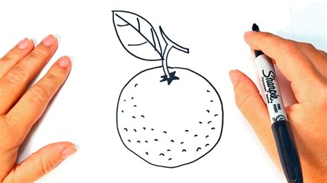 How To Draw An Orange Step By Step Easy Drawing Of Orange