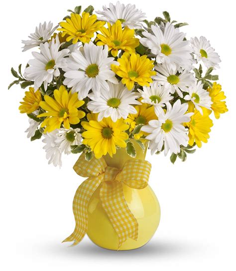 Classic Yellow And White Daisy Bouquet Flower Delivery Flowers Bouquet