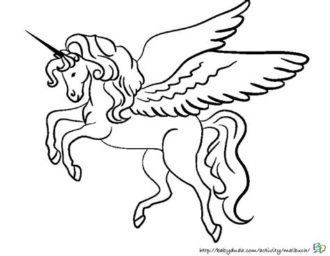Zauberhafte einhörner ausmalen: ausmalbild einhorn
