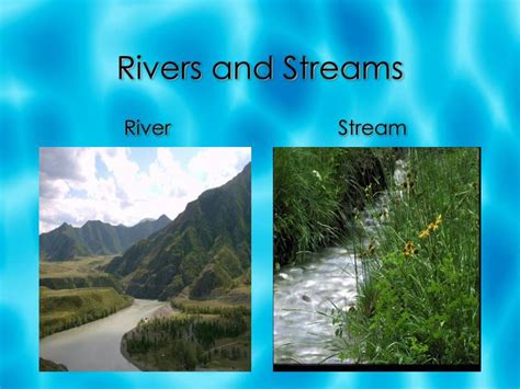 Ppt Water Ecosystems Powerpoint Presentation Id3128771