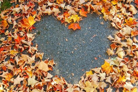 Autumn Leaf Heart Pictures Photos And Images For Facebook Tumblr