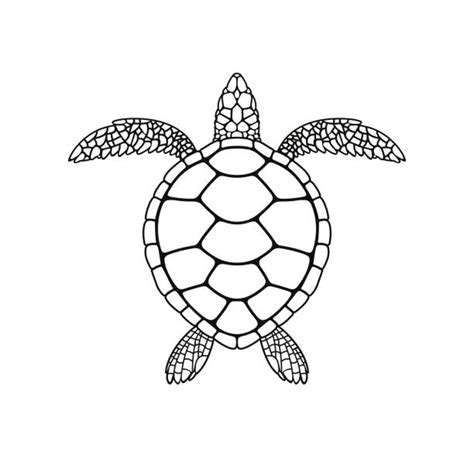 Silhouette Of A Sea Turtle Outline Illustrations Royalty Free Vector