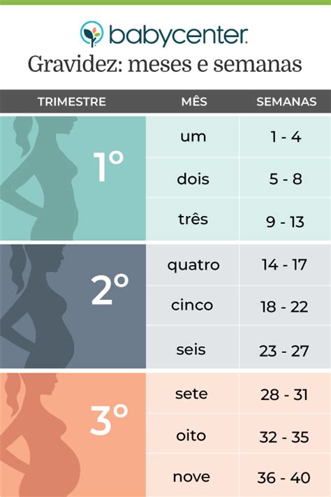 Como Contar A Gravidez Em Semanas E Em Meses Babycenter