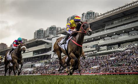 Hong kong (happy valley, sha tin); Andrew Le Jeune's guide to how to bet on Hong Kong racing