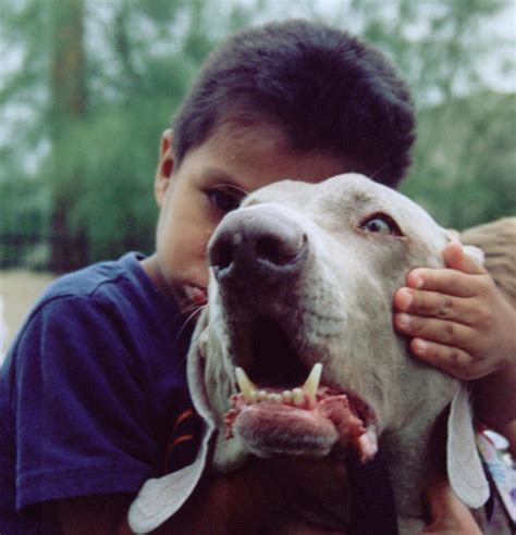 The Cues Dogs Pick Up On To Comfort Their Owners The Dog People By