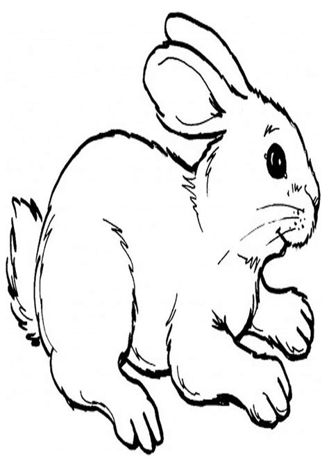 Conejos Para Colorear Dibujosparacoloreareu