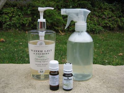 We offer interior and exterior pest control service options, to meet your specific needs. Easy and cheap home made insect repellent that can be used ...