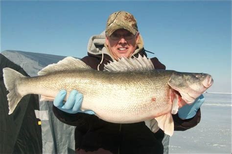 Lake Erie: Ice Fishing Lake Erie
