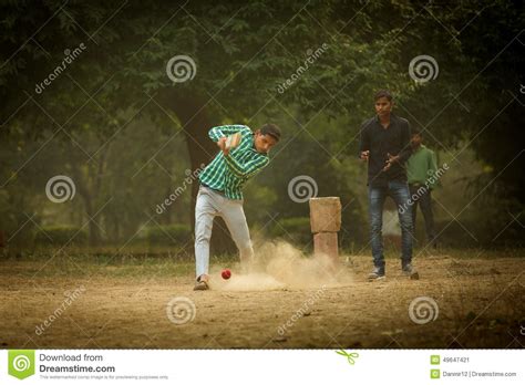 Cute Boy Playing Cricket In The Park Vector Illustration