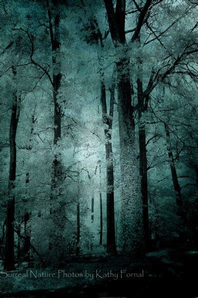 Surreal Nature Photography Haunting Woods Forest Trees