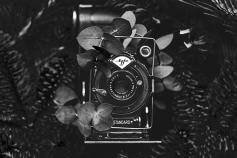 We did not find results for: 8 Best Monochrome Cameras For Black & White Photography ...