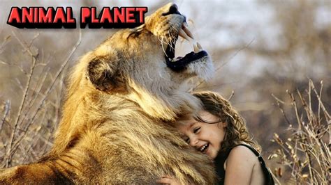 Animal Planet Video Youtube