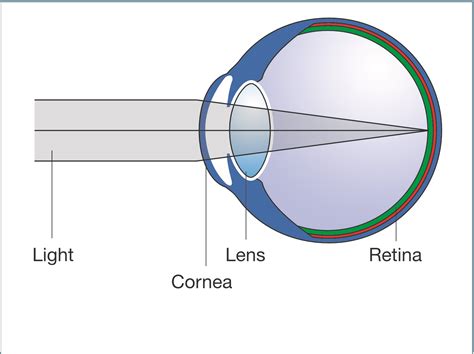 Eye Diagram Perfect Focus David Gartry