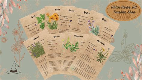 Printable Magickal Herb Properties - Etsy in 2024 | Magickal herbs