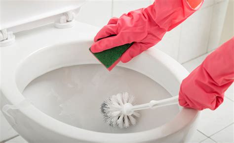 8 Dicas E Passo A Passo Para Uma Limpeza Do Banheiro Completa
