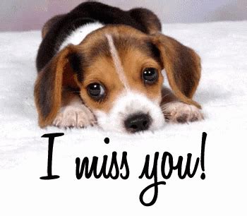 Saying no will not stop you from seeing etsy ads or impact etsy's own personalization technologies, but it may make the ads you see less relevant or more repetitive. Miss You GIF - Miss You - Discover & Share GIFs | Cute ...