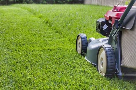 City wide lawn & snow is a full service maintenance company. BEST Grass Cutting Values in WEST COUNTY, ST. LOUIS, MO