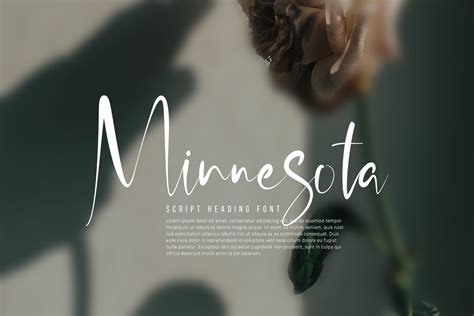 Minnesota Script Heading Font | Heading fonts, Geometric 