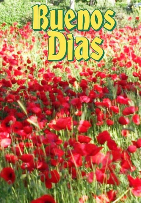 Good synonyms, good pronunciation, good translation, english dictionary definition of good. Best Good Morning Quotes For Him In Spanish 52 Ideas in ...