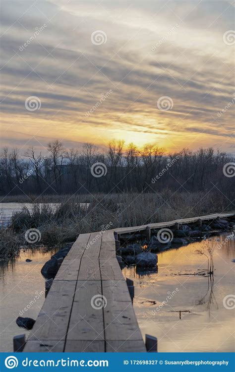 Idyllic Sunset Over A Wood Trail At The Wetlands In A Park Stock Image