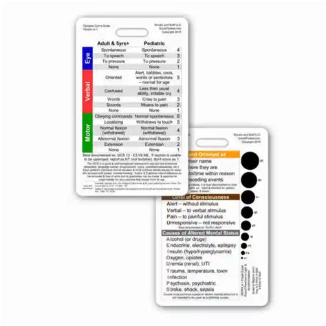 GLASGOW COMA SCALE GCS Vertical Badge ID Card Pocket Reference Nurse