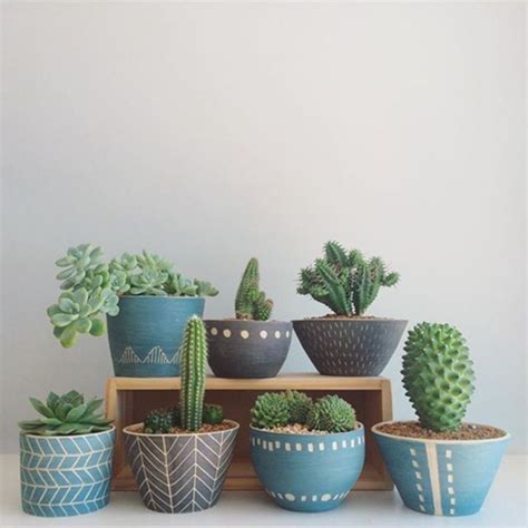 30 Best Creative Cactus Decorations To Beautify Your Home Cactusplant
