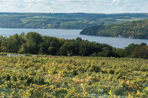 A Complete Guide To The Finger Lakes Wine Country Wine Enthusiast