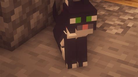 Wont Be Able To See Cats The Same Way Again Minecraft