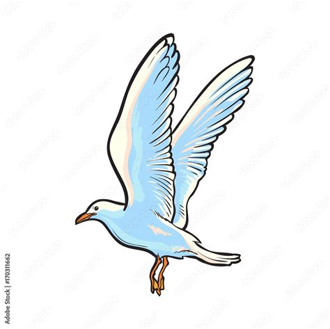Flying Seagull Hand Drawn Sketch Style Side View Cartoon Vector