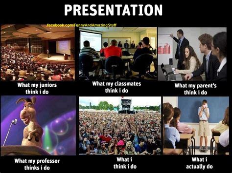 Best Funny And Amazing Pictures Funny Presentation Fact