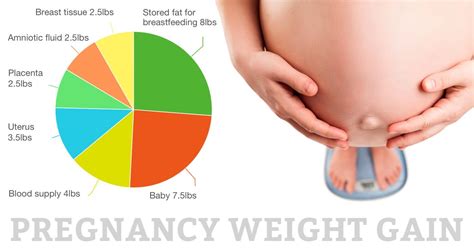 How many days per week do you have available to work out? The Truth About Pregnancy Weight Gain | Mama Natural