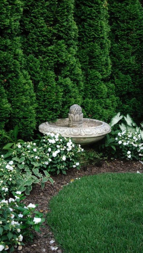 47 Cheap Privacy Landscaping Ideas Privacy Landscaping Garden