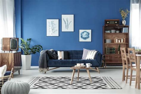 Interior Design Ideas Blue Living Room India