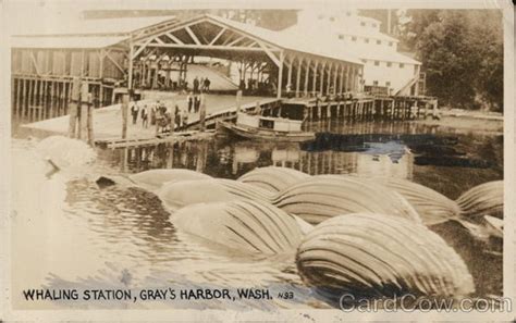 Whaling Station Grays Harbor Wa Postcard