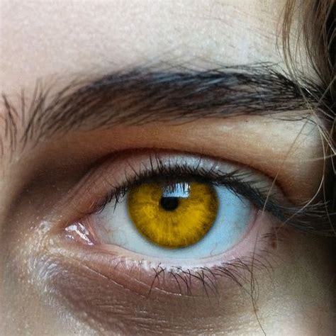 Yellow Eyes Aesthetic Eyes Eye Photography Beautiful Eyes Color
