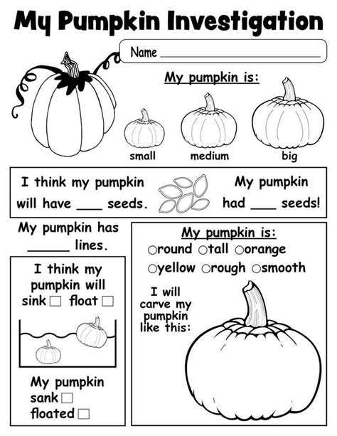 Pumpkin Investigation Worksheet Printable Fall Kindergarten