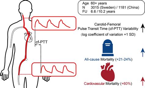 Carotid Femoral Pulse Transit Time Variability Predicted Mortality And