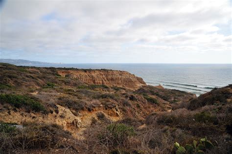 Torrey Pines State Natural Reserve